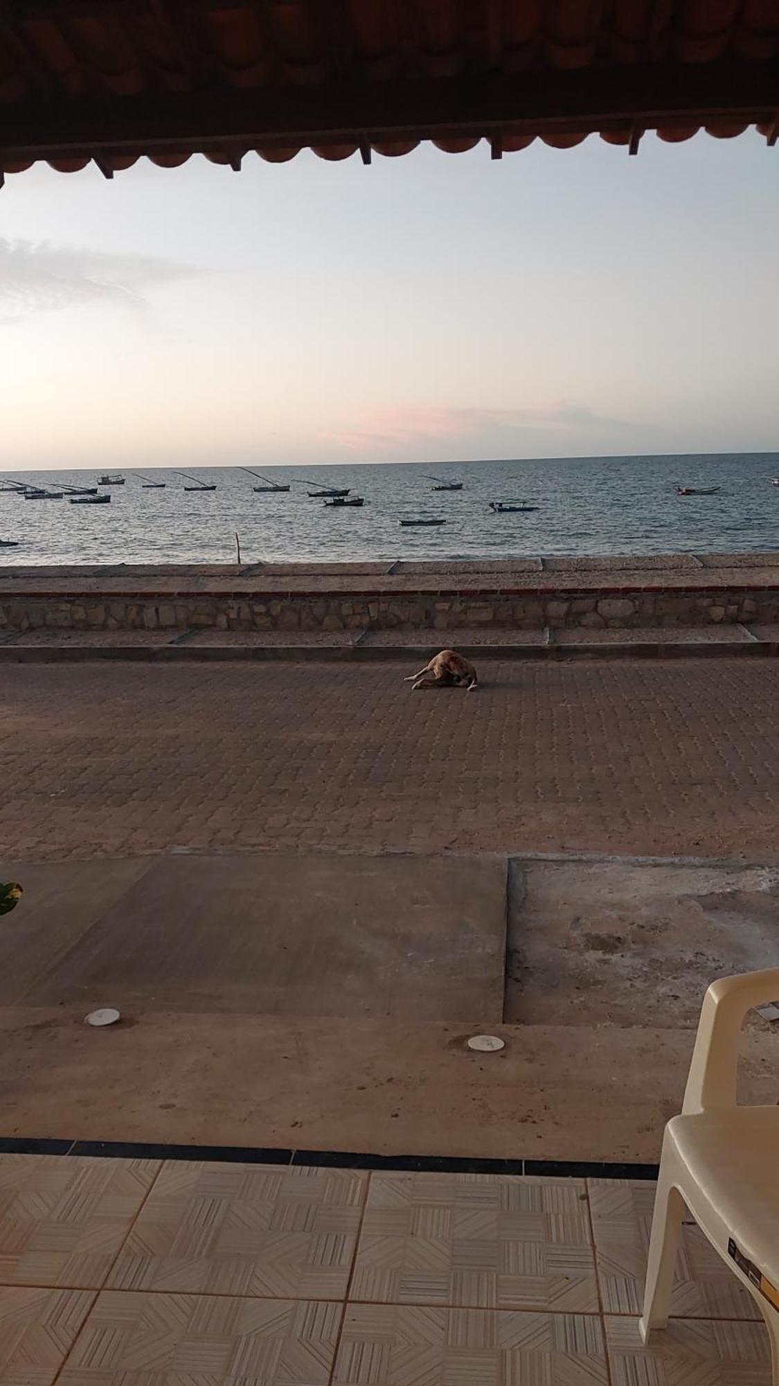 Chales Canto Do Mar Redonda Ngoại thất bức ảnh